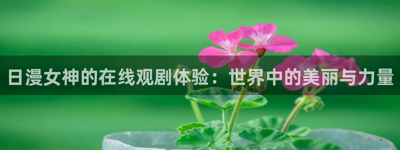 age动漫源：日漫女神的在线观剧体验：世界中的美丽与力量